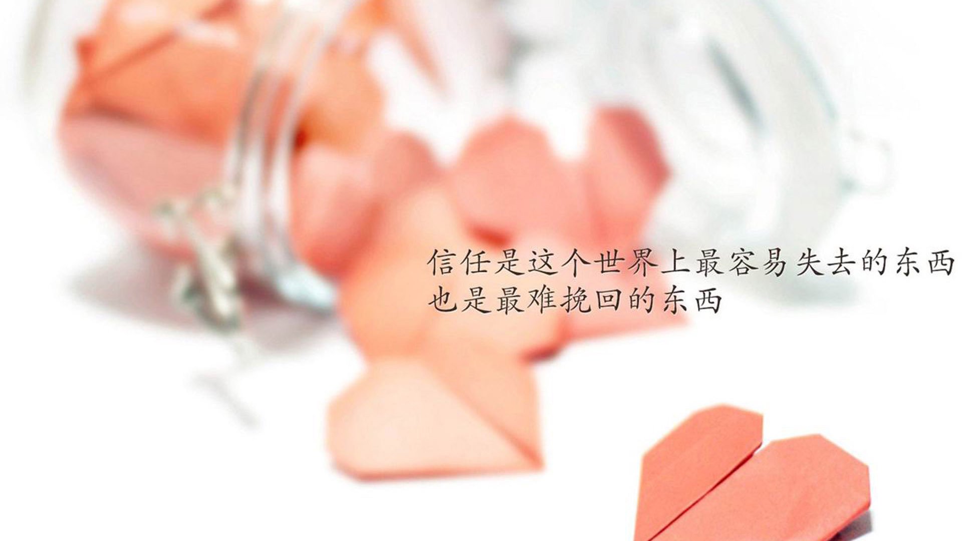 阿尔比塞特主场大捷，奏响胜利之歌，阿尔盖比斯宾塞