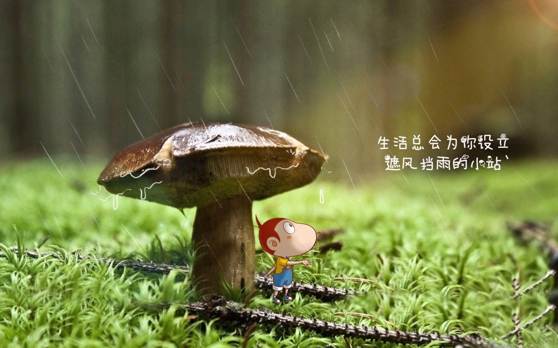 韩国芯片企业加强全球布局，韩国芯片公司排名