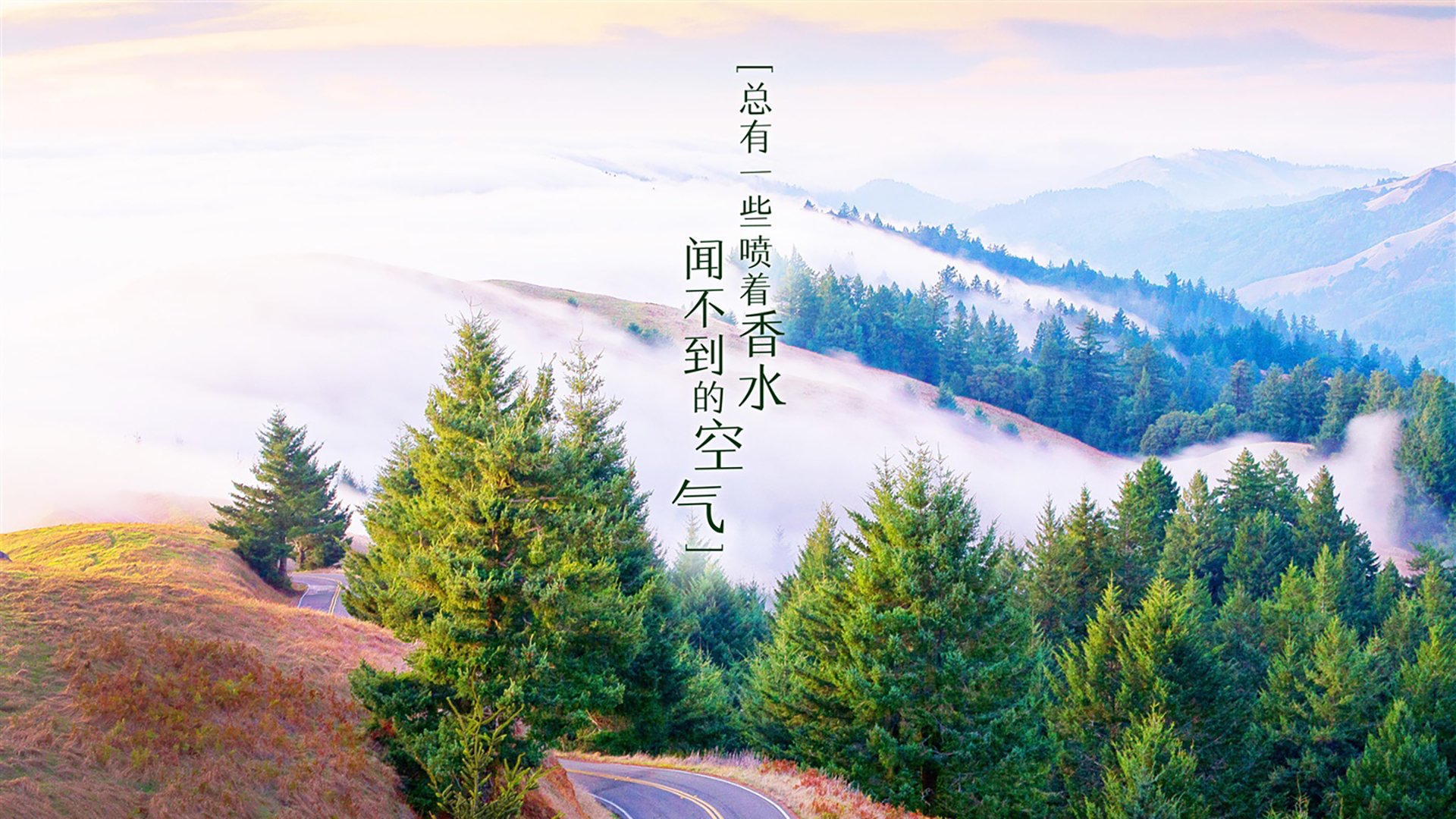 爱游戏官方-深圳领航队全员参与封闭训练备战重要阶段，深圳领航者队球员名单
