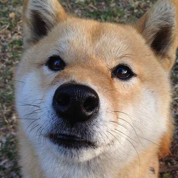 爱游戏官网-梅西收获全场最高分世界杯小组赛，梅西收获全场最高分世界杯小组赛的球队