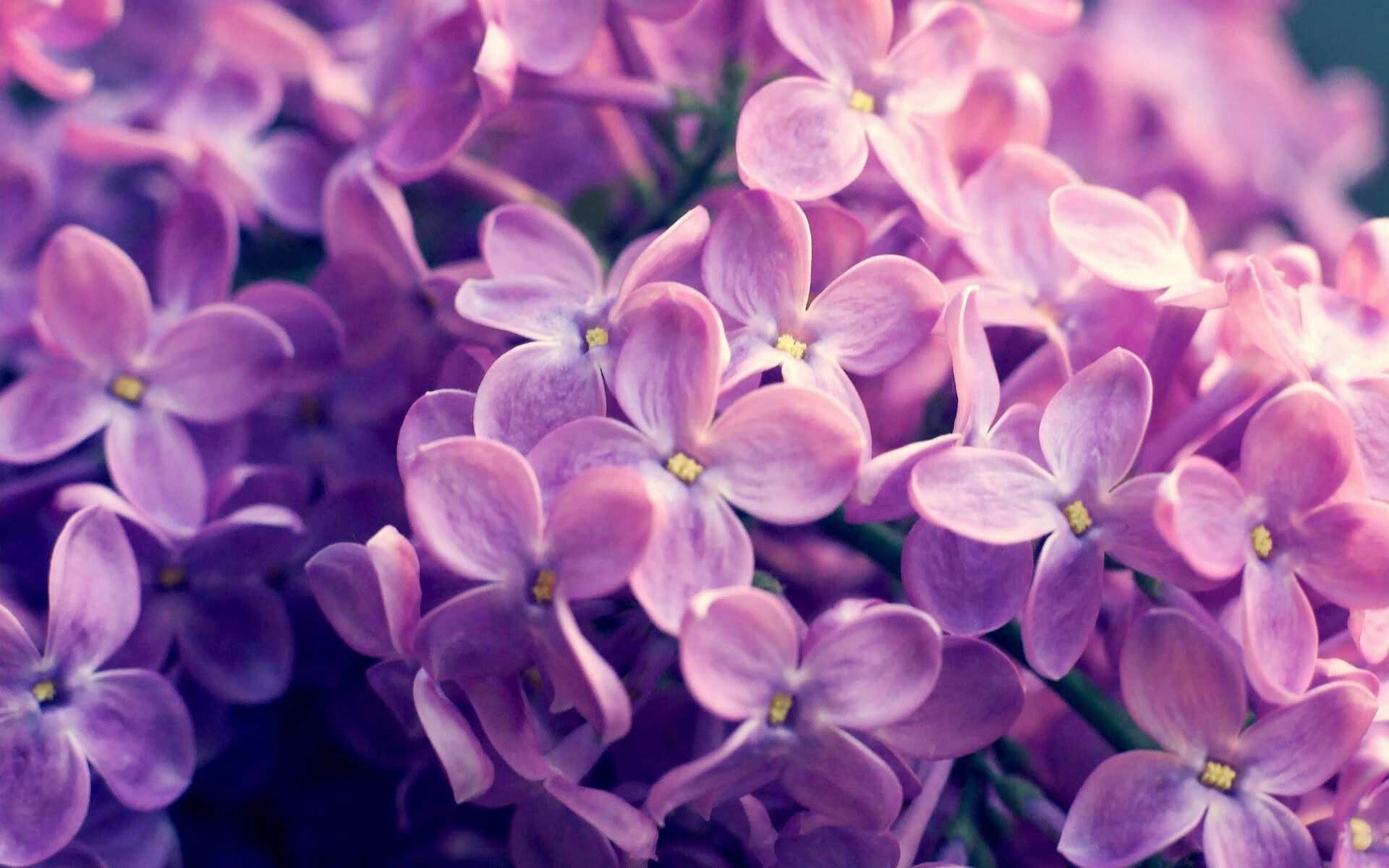 科特迪瓦男篮在非洲锦标赛中不断突破，迈向历史新高，科特迪瓦男篮排名