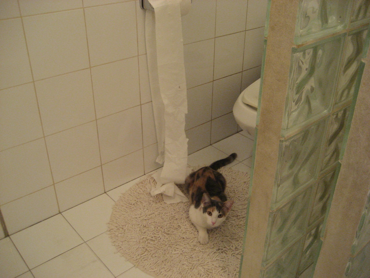 皇马青训新星崭露头角，球队未来可期