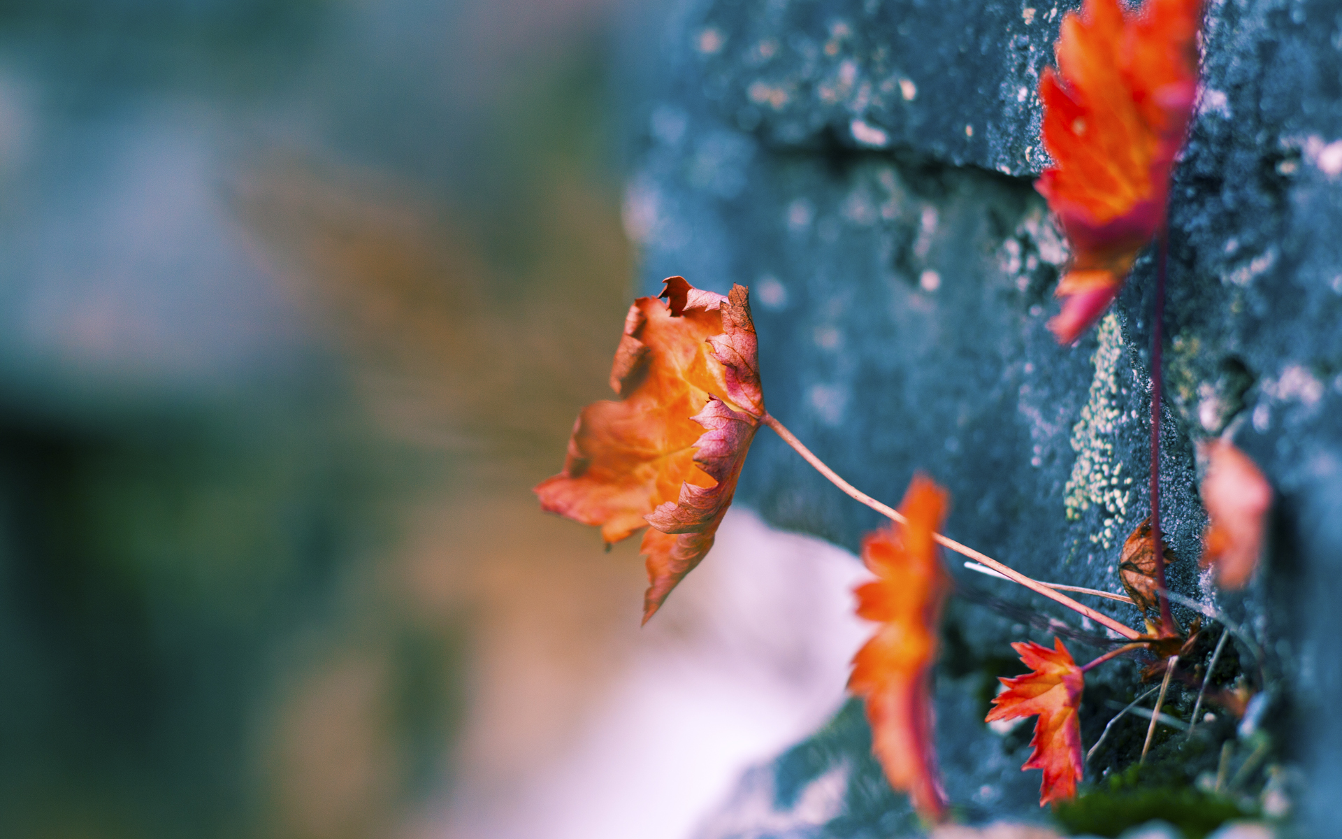 西甲精彩进球合集:精彩瞬间不断升级!,西甲锦集