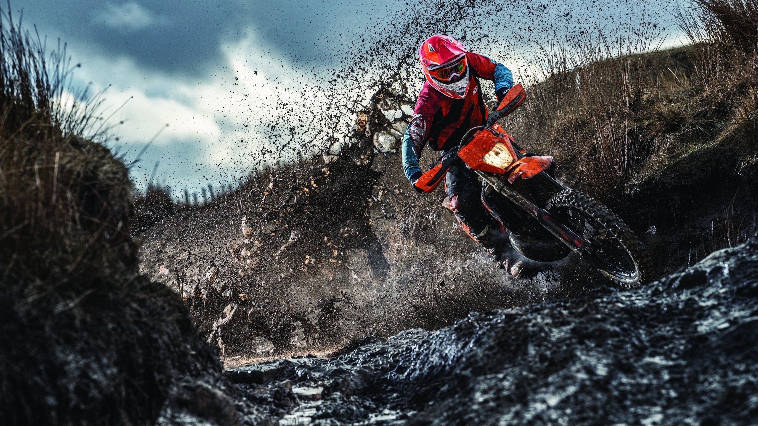 电竞选手家庭支持:理解与鼓励,是最大的动力,电竞选手都需要承担什么责任